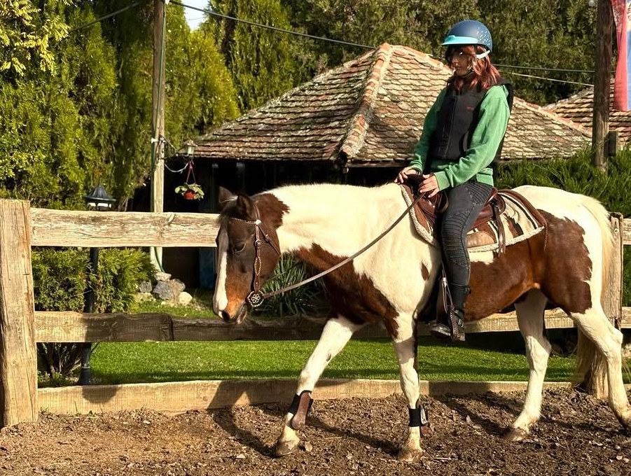 Konjički klub Urban cowboy ranch