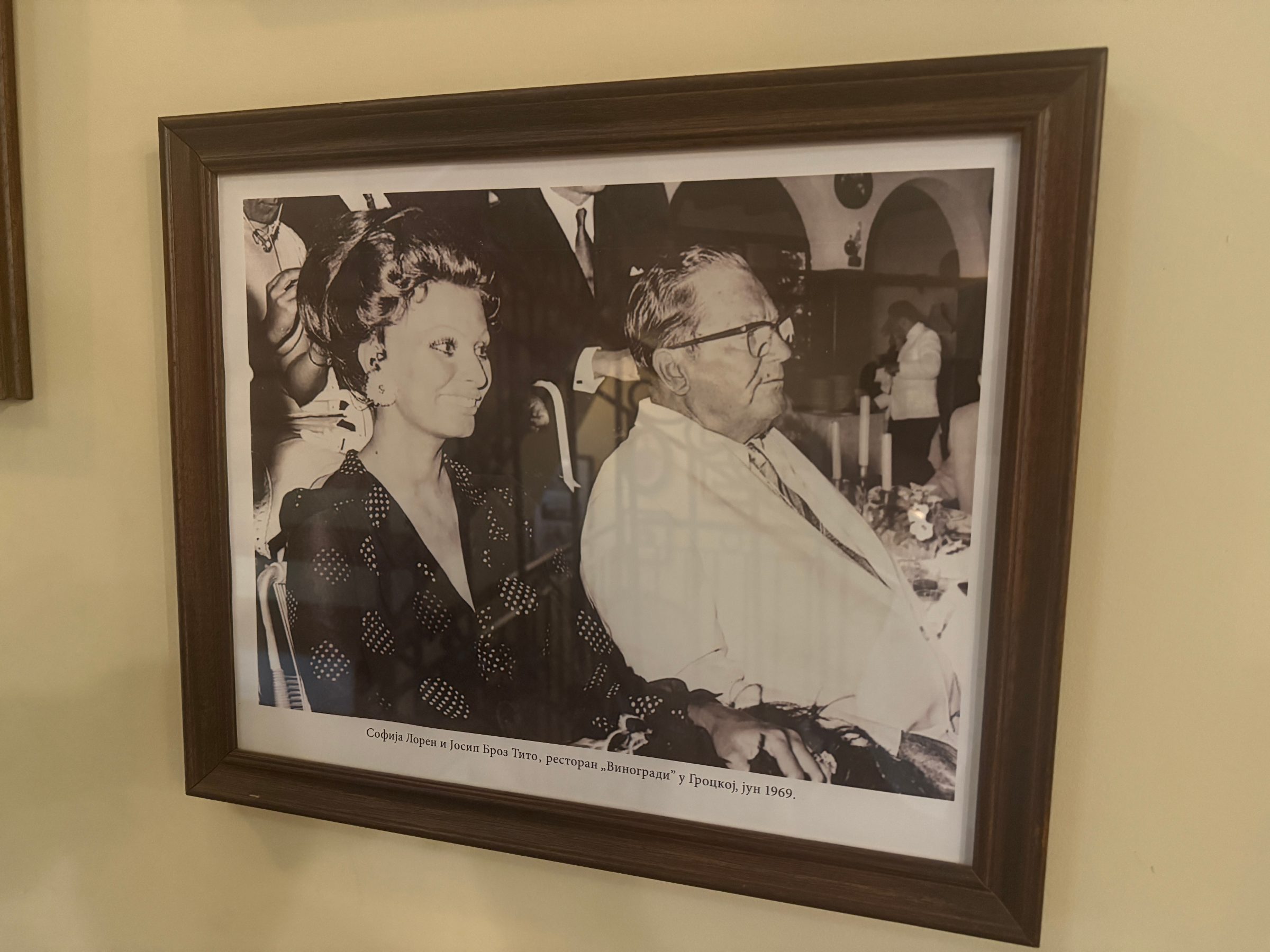 Tito u Vinogradima