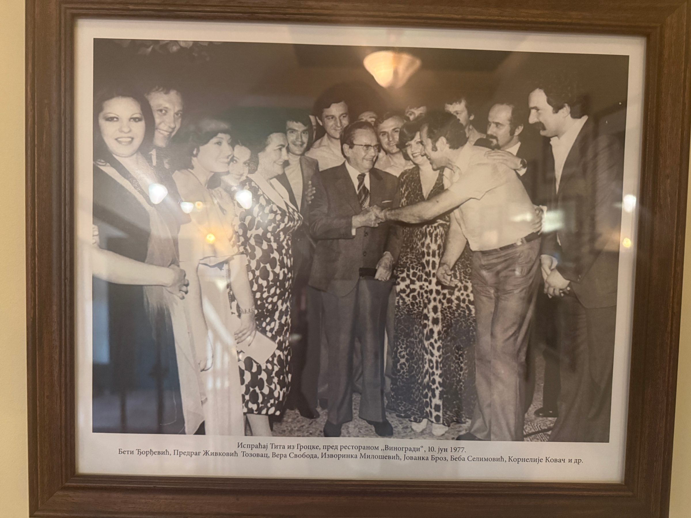 Tito u Vinogradima