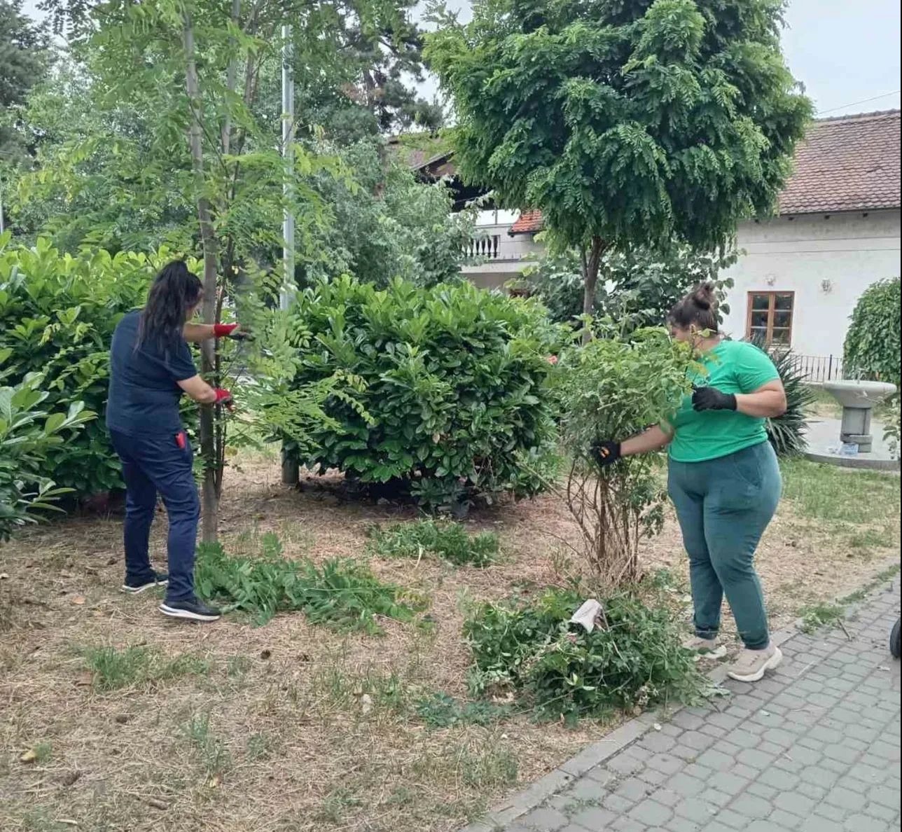 Uredjenje zelenila i cveća u centru Grocke