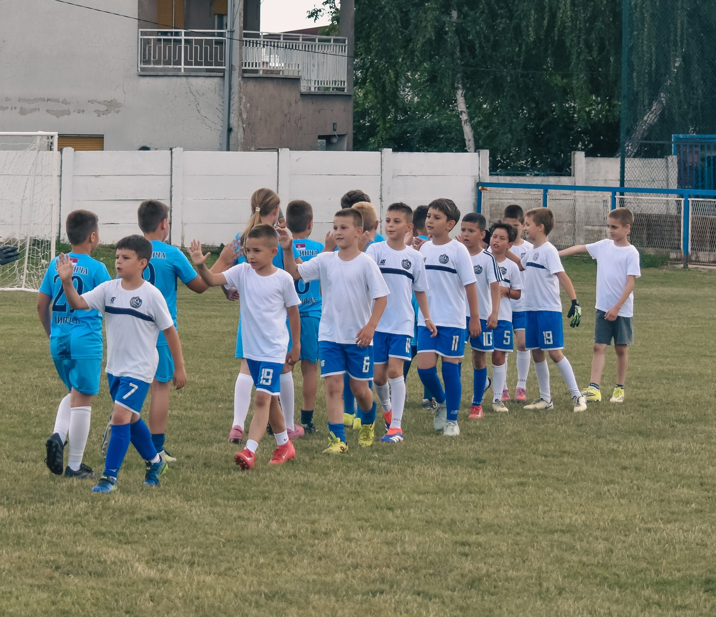 IV Kup Neolita