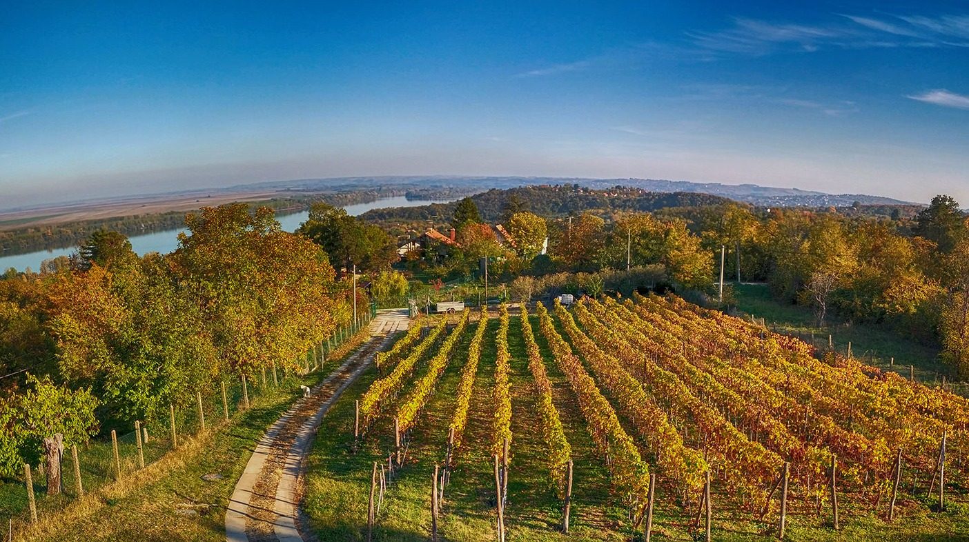 Vinarija Plavinci