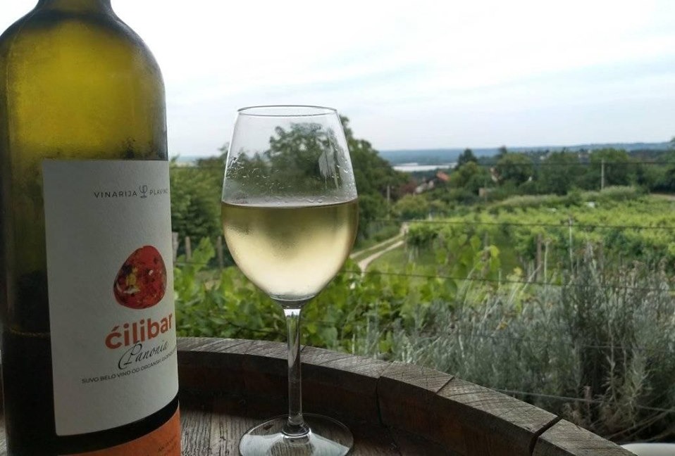 Vinarija Plavinci